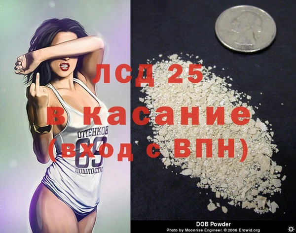 эйфоретик Покачи